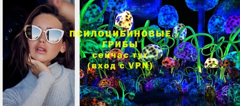 mega рабочий сайт  Грязи  Псилоцибиновые грибы Magic Shrooms 